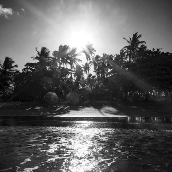 Nicolas Bouriette photographe