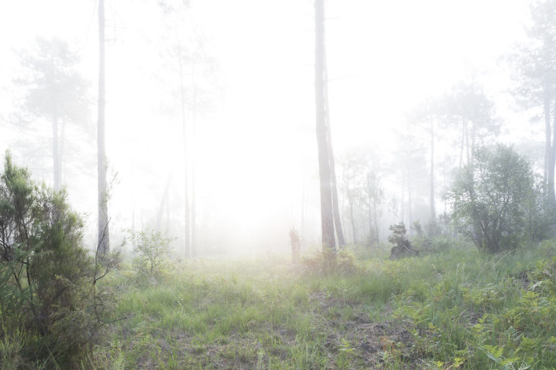 Nicolas Bouriette photographe
