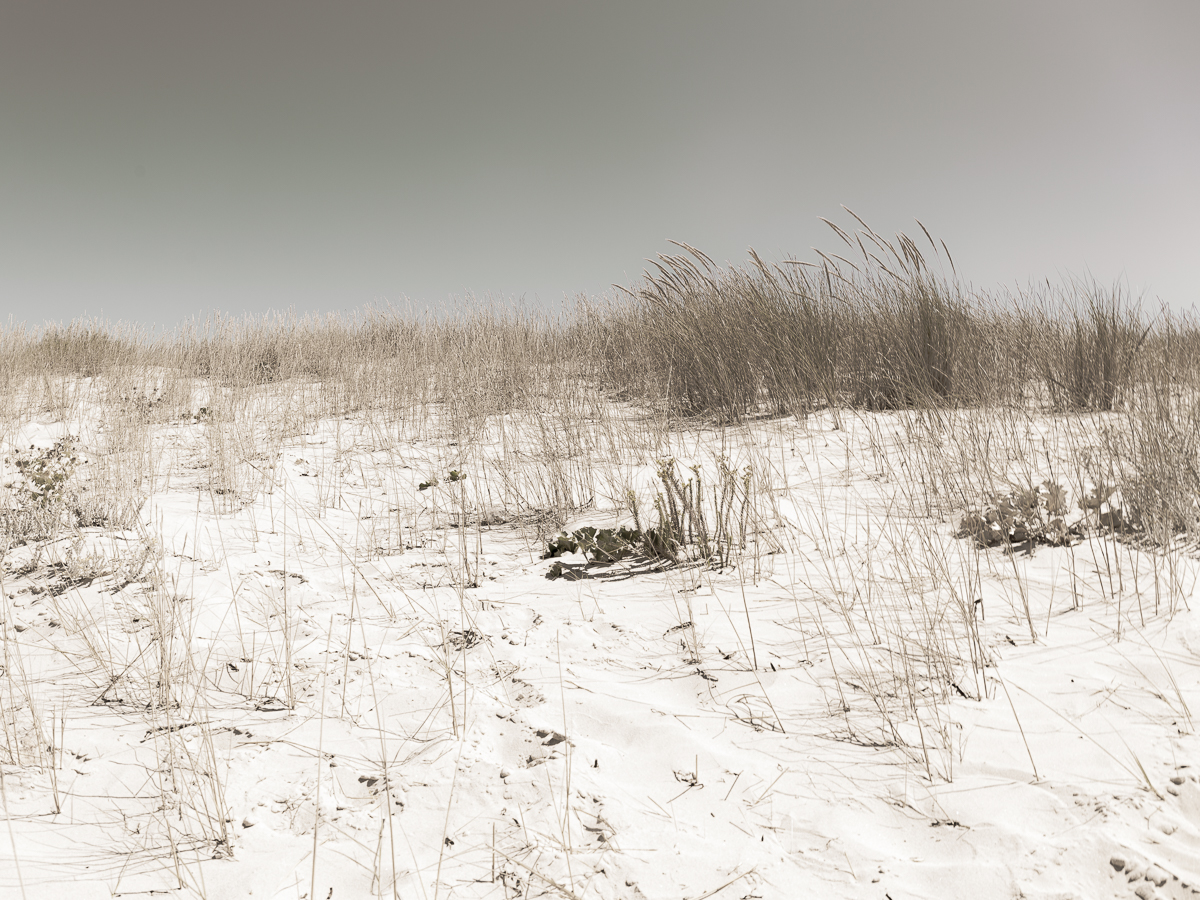 Nicolas Bouriette photographe